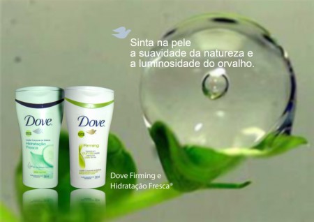 Projeto 4